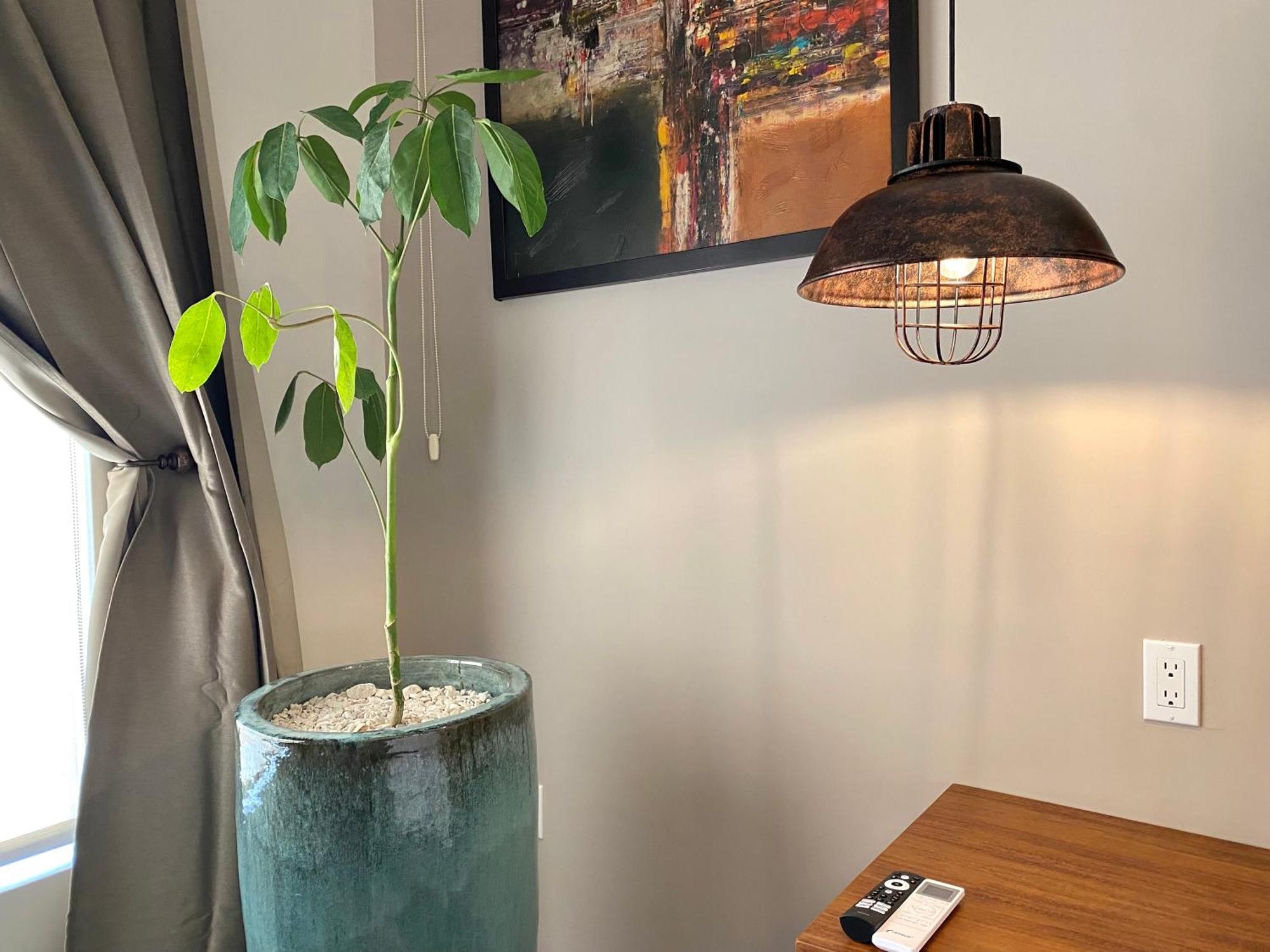瓜达鲁佩镇 Tierra Mia Hacienda Ruta Del Vino酒店 外观 照片