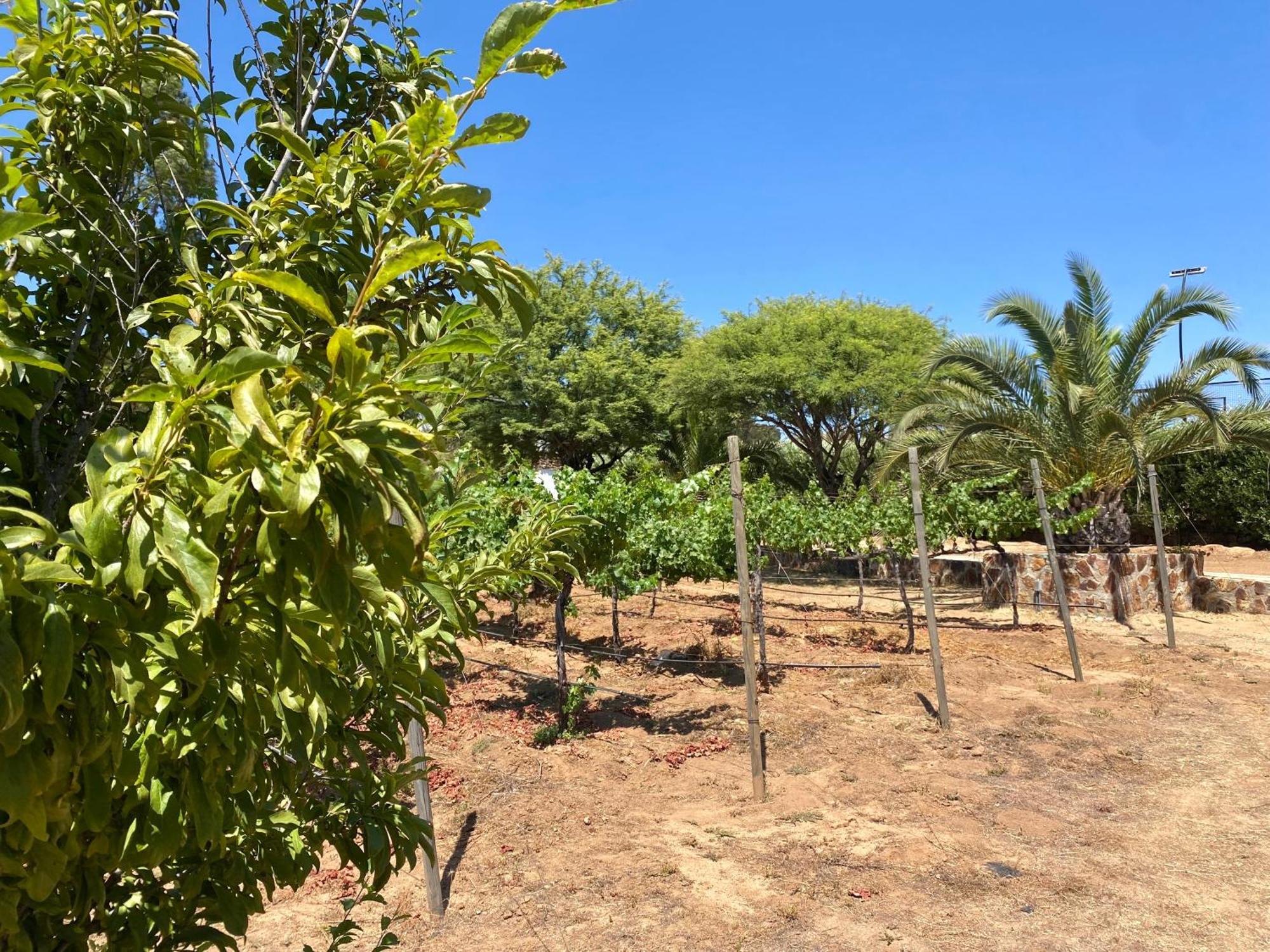瓜达鲁佩镇 Tierra Mia Hacienda Ruta Del Vino酒店 外观 照片