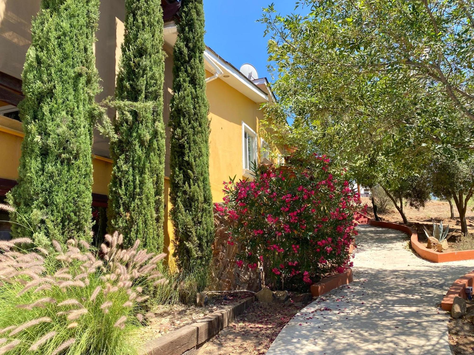 瓜达鲁佩镇 Tierra Mia Hacienda Ruta Del Vino酒店 外观 照片